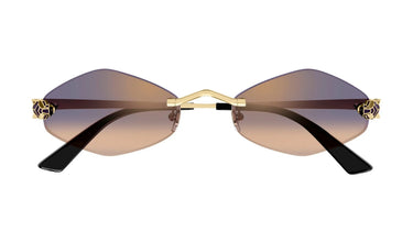 CT0433S-005_1 - Drishti Platinum