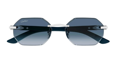 CT0439S-007_1 - Drishti Platinum