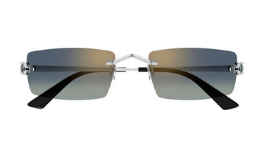 CT0598S-003_1 - Drishti Platinum