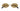 Cartier CT0615S-002 Première de Sunglasses