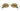 Cartier CT0615S-007 Première de Sunglasses