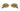Cartier CT0615S-007 Première de Sunglasses