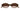 GG2059S-003_3 - Drishti Platinum