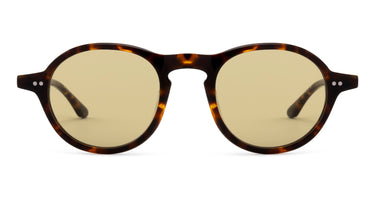 LT14 The Cool Kid Sun Tortoise Light Khaki - Drishti Platinum