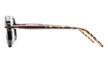 P8-BST-2 - Drishti Platinum