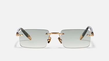 R01 - C501 - Drishti Platinum