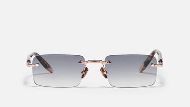 R01 - C512 - Drishti Platinum