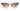 S80 Lily Of The Valley Sun Beige Fade Brown - Drishti Platinum