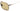 TT10 Jenny Antic Gold Light Khaki - Drishti Platinum