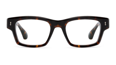 S119 Amy Tortoise - Drishti Platinum