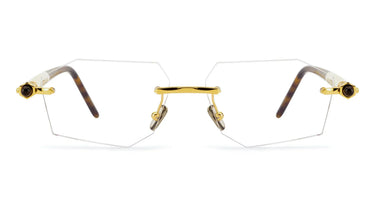 P55 GD TS Gold Tortoise - Drishti Platinum