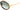 Eyepetizer NAOMI C.AT-4-25 - Drishti Platinum