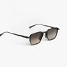 APEX 02 - C2 - Drishti Platinum