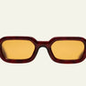 Amber_Havana_S2_Sun_front - Drishti Platinum