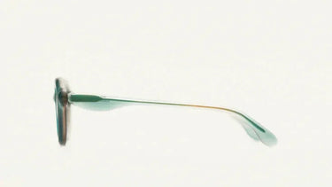 Aqua_Frost_A2_Sun_3 - Drishti Platinum