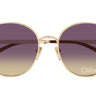 CH0325SK-001 - Drishti Platinum