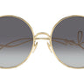 CH0329S-001 - Drishti Platinum