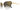 CT0399S-001_2 - Drishti Platinum
