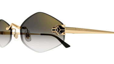 CT0433S-001_1 - Drishti Platinum