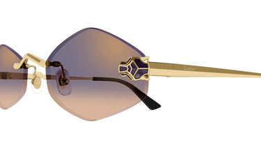 CT0433S-005_2 - Drishti Platinum