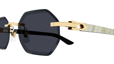 Cartier CT0439S-002 Décor C Sunglasses
