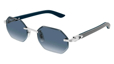 CT0439S-007_3 - Drishti Platinum