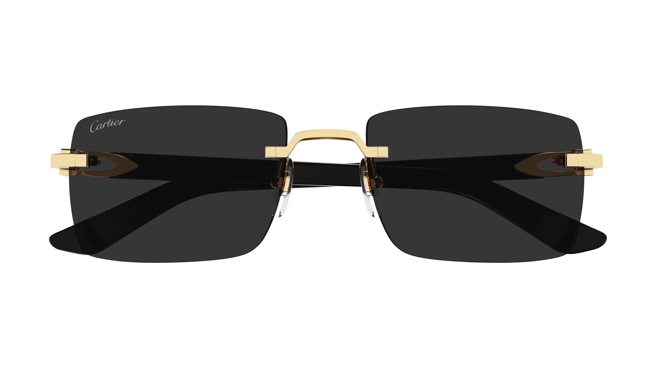 Cartier CT0579S-001 Décor C Sunglasses