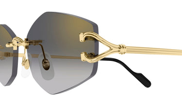 Cartier CT0620S-001 Décor C Sunglasses