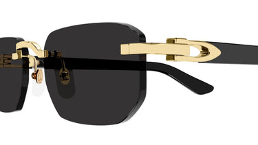 Cartier CT0622S-001 Décor C Sunglasses