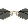 GG1604S-001 - Drishti Platinum