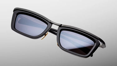 HAIDER ACKERMANN: GASPARD - VANTA
