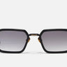 MILES - C302 - Drishti Platinum
