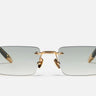 R01 - C501 - Drishti Platinum