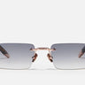 R01 - C512 - Drishti Platinum