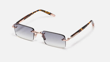 R01 - C512 - Drishti Platinum