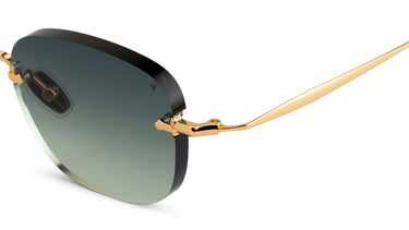 Eyepetizer ROCHESTER C.4-52 - Drishti Platinum