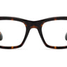 S119 Amy Tortoise - Drishti Platinum