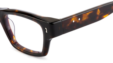 S119 Amy Tortoise - Drishti Platinum
