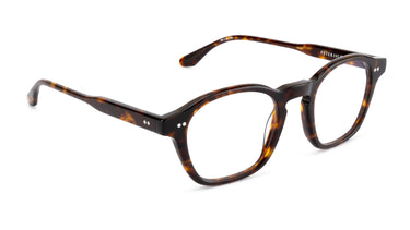 LT20 Pm Palace Tortoise - Drishti Platinum