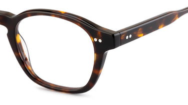 LT20 Pm Palace Tortoise - Drishti Platinum