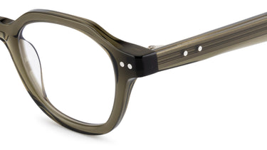 S81 Sky Saguaro - Drishti Platinum