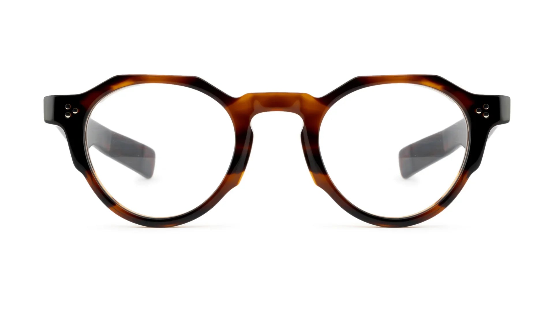 Fm Frame Frame Montana FM 25A-2 Brown Windy Optical Frame - Drishti Platinum