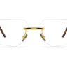 P55 GD TS Gold Tortoise - Drishti Platinum