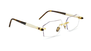 P55 GD TS Gold Tortoise - Drishti Platinum