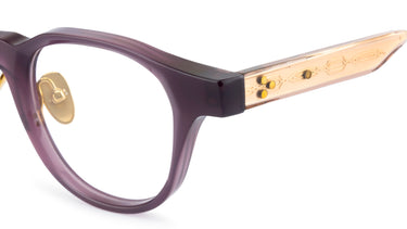 UDM FRAME 45 -C46-PLUM - Drishti Platinum