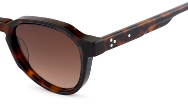 UDM CALIFFO - C24 - TORTOISE - Drishti Platinum