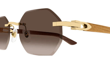 side_detail_cartier_0439S-006 - Drishti Platinum